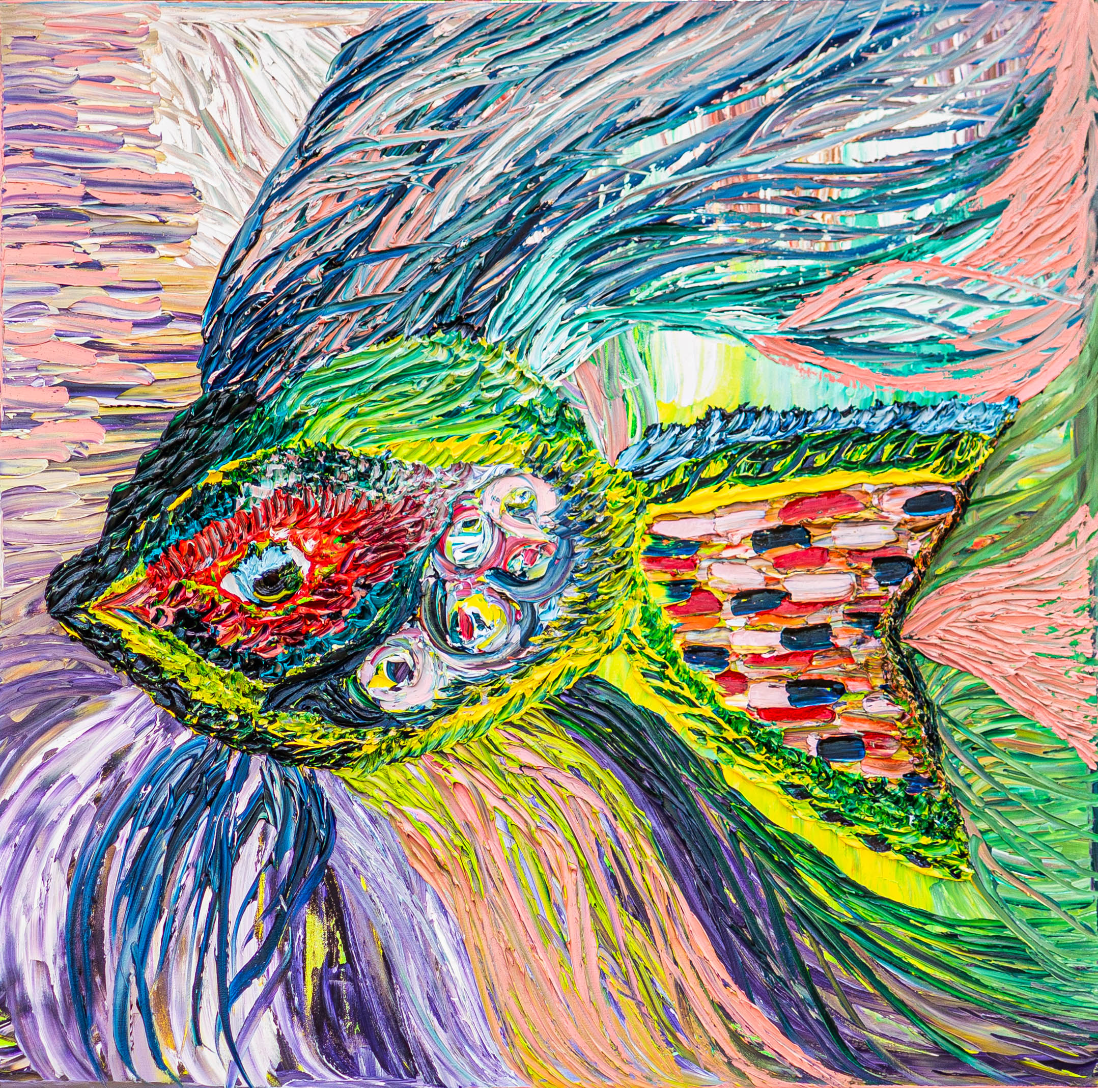 Amelia The Angelfish